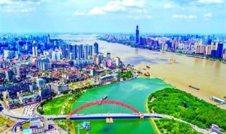 重庆两江交汇现鸳鸯锅奇观