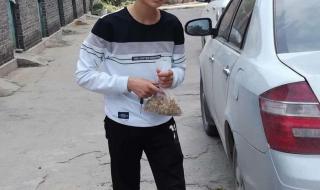 高中生疑与教师吵架后失联