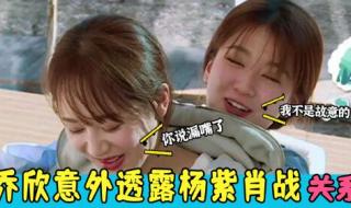 肖战杨紫私下恋爱是真的吗