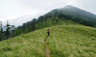 朱雀国家森林公园