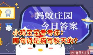 阳光大道蚂蚁庄园