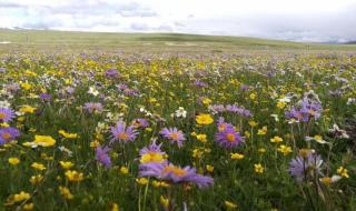 四川省中国青年旅行社