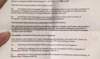 去新加坡需要什么手续