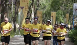 武汉马拉松2023路线图